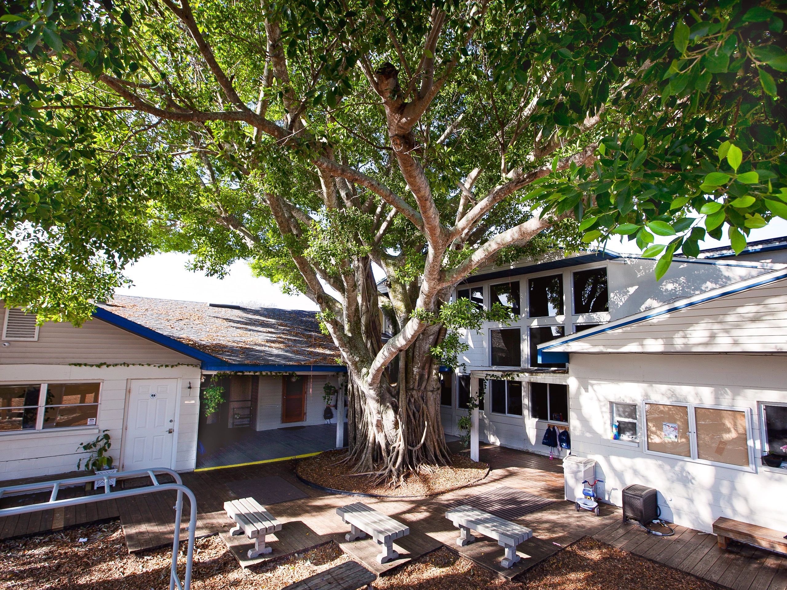 Daycares In Fort Myers Fl